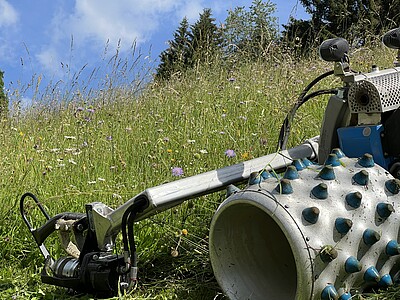 Sommer am Bauernhof 