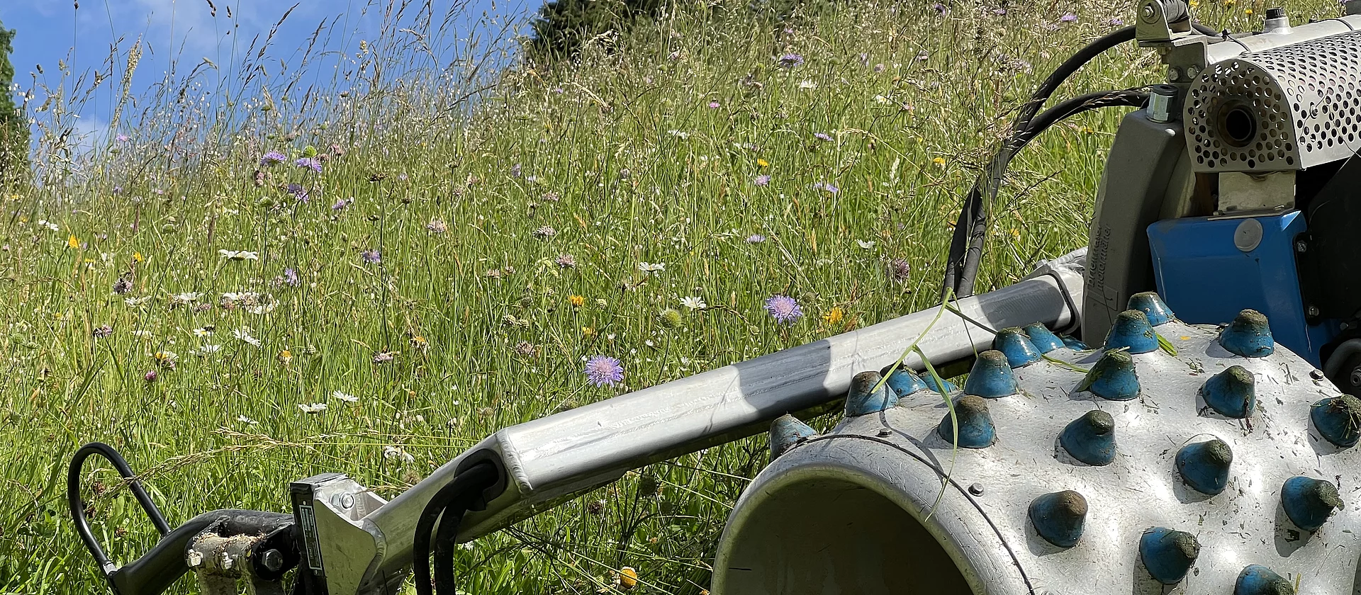 Sommer am Bauernhof 