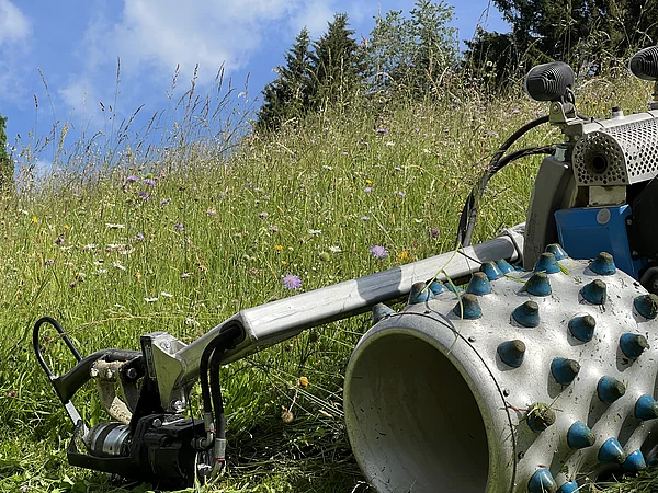 Sommer am Bauernhof 