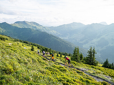 Biken in Saalbach 