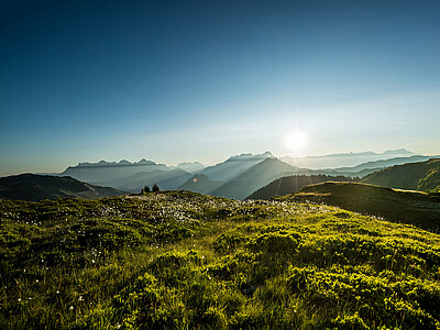 Berglandschaft Saalbach 