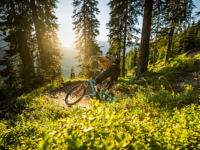 Biken in Saalbach 