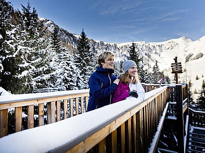 Baumzipfelweg im Winter 