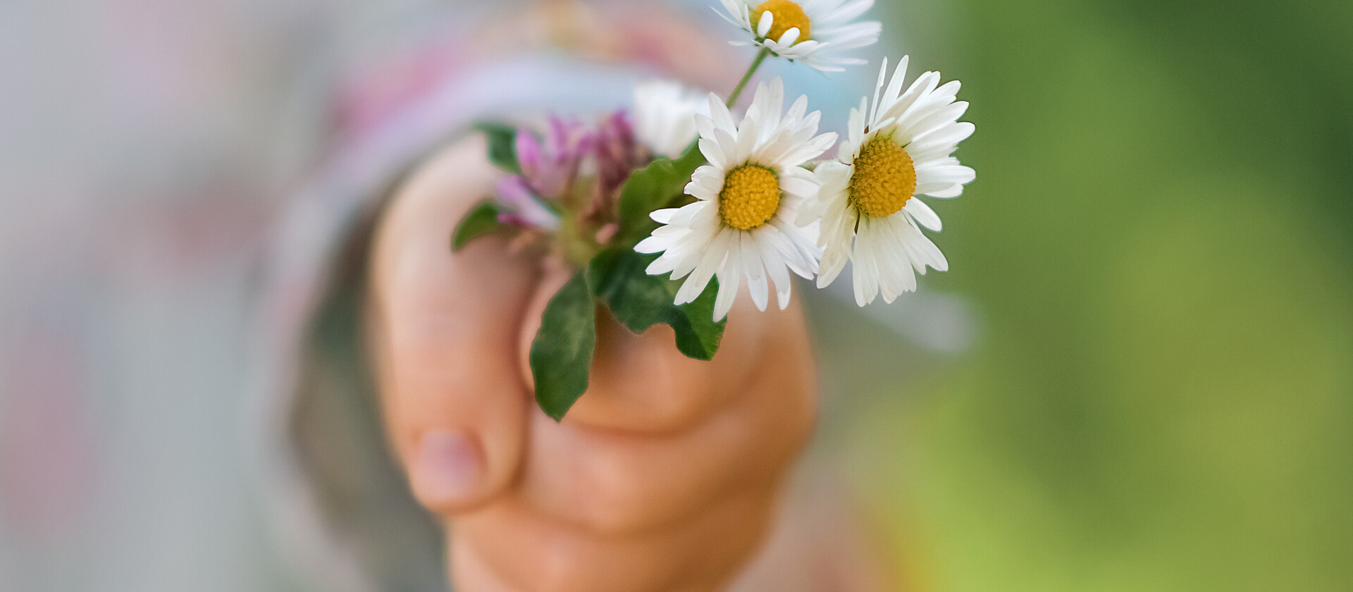 Girl holding a bouquet of daisies in her hand