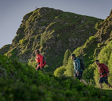 Wandern in Saalbach 