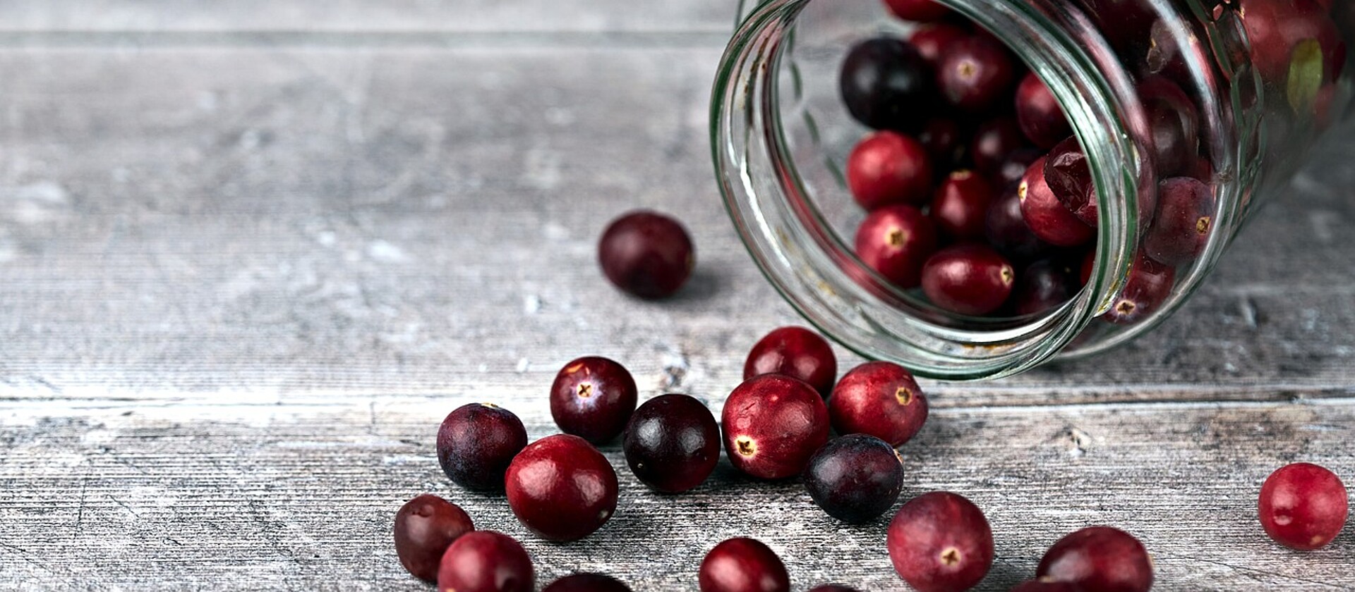 Cranberries Wirtshaus Heimat