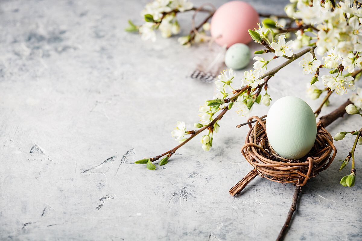 Easter composition on grey concrete backgrount, copy space