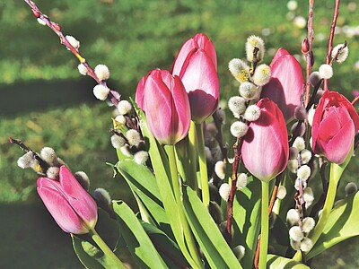 Blumen Saalbach 