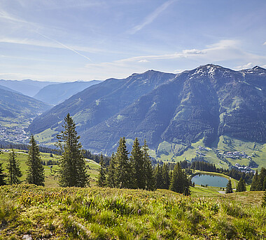 Sommer in Saalbach