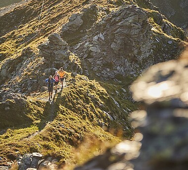 Wandern in Saalbach 
