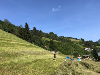 Bauernhofarbeit Liebe Heimat