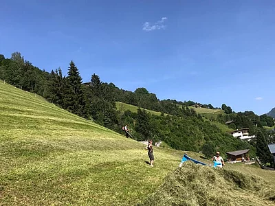 Bauernhofarbeit Liebe Heimat