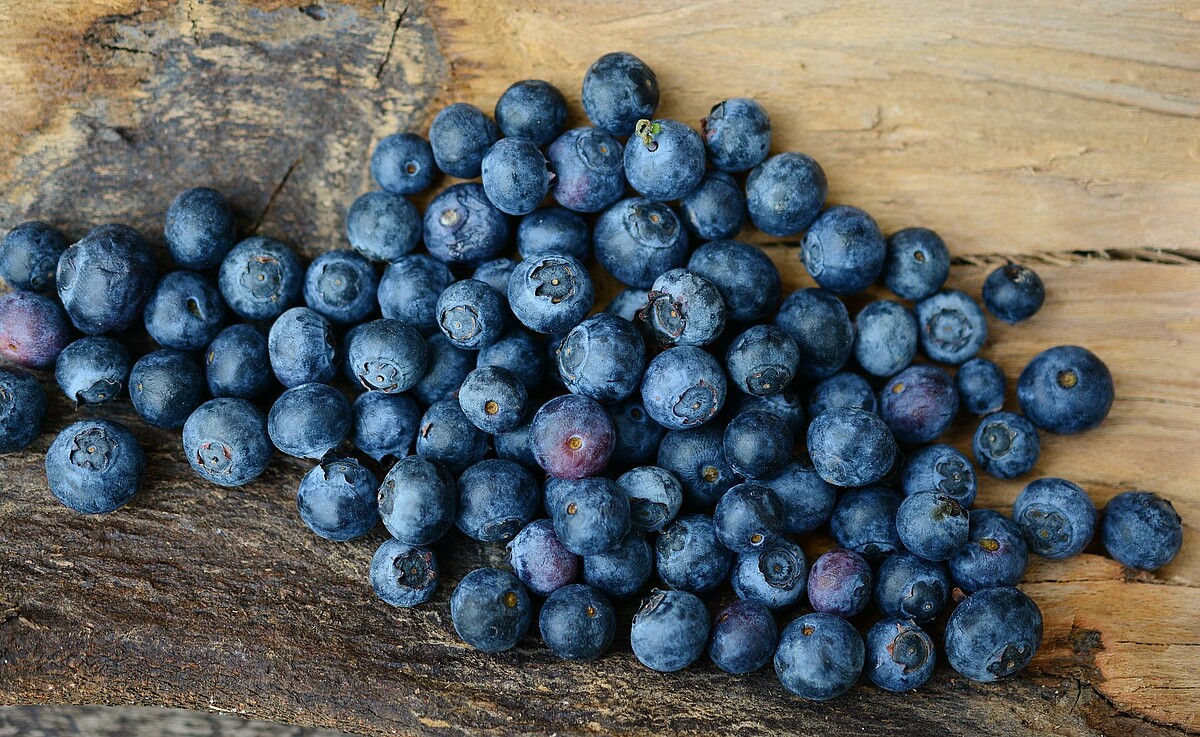 Blaubeeren Liebe Heimat