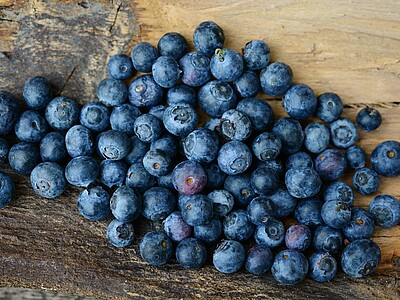 Blaubeeren Liebe Heimat