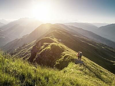 Wandern in Saalbach 